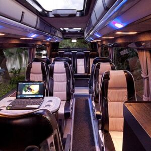 Luxury Mini Bus