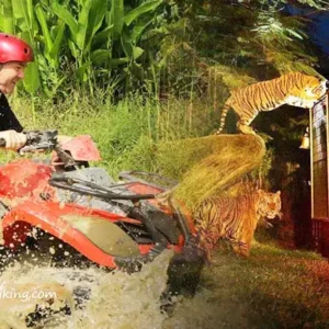 Authentic Dubai Camel Trek at Dawn