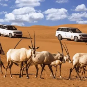 Stars on Demand: Mobile Astronomy Experience