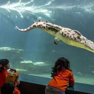 Crocodile Park Dubai