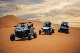 Conservation Drive & Breakfast at Al Maha